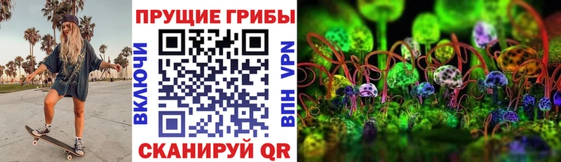 Псилоцибиновые грибы GOLDEN TEACHER  Бор 